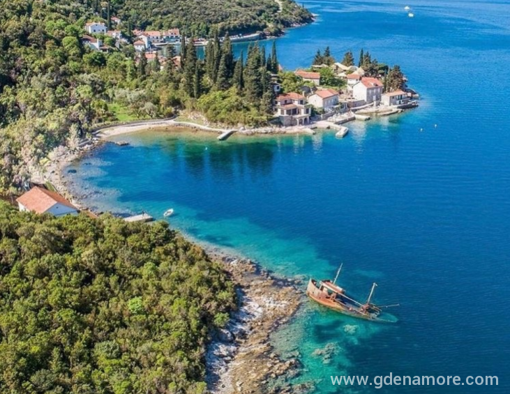 Rose, Montenegro Lustica